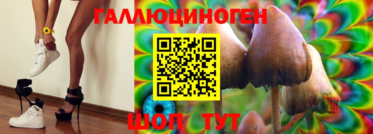 как найти закладки  Псилоцибиновые грибы Psilocybe  Вход с VPN  Шадринск 